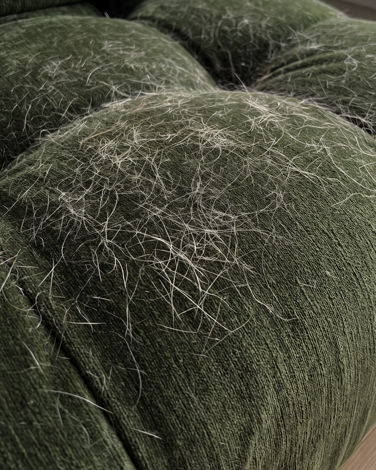 Groene ribfluwelen bank bedekt met hondenharen in de naden en op de zitting