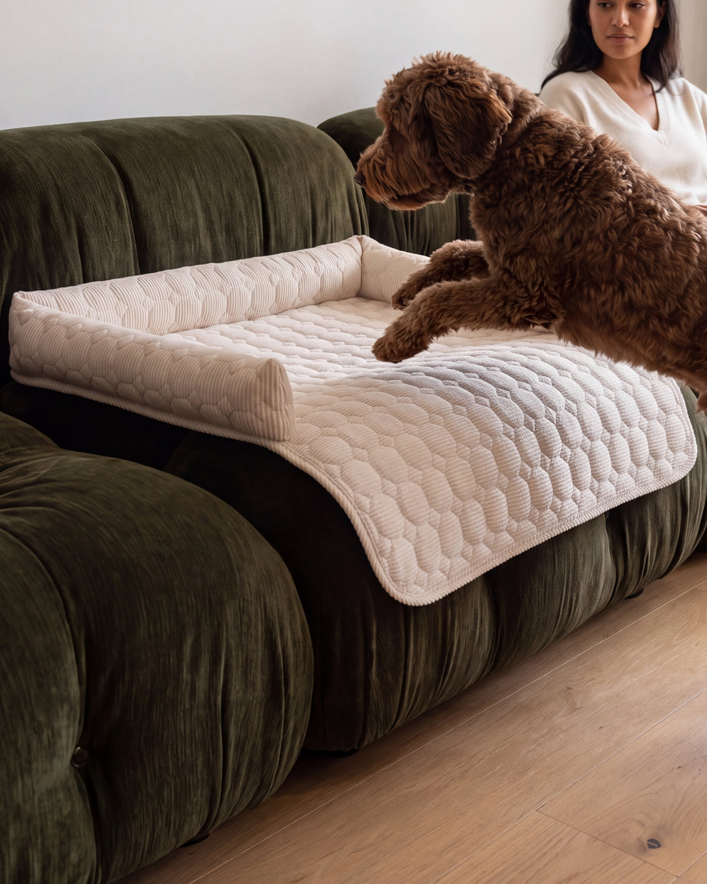 Hond springt op de Cloud Sofa Cover, die door de antislip onderkant blijft liggen